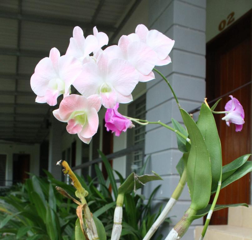 My Parents Guesthouse Kampot Eksteriør billede